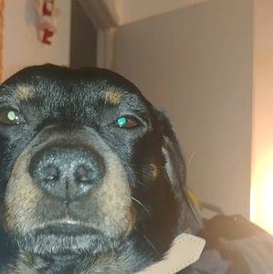 Meet your Posher, Rebecca